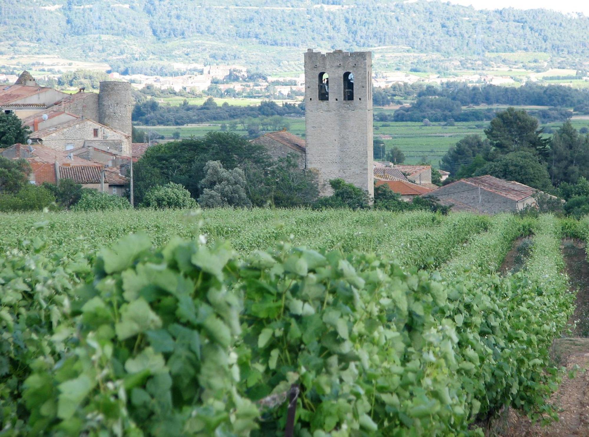 Maison Vigneronne De Bonne Maman - Climatisee Cesseras Extérieur photo